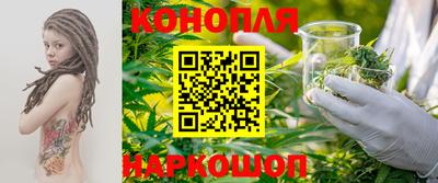 мдпв Пугачёв