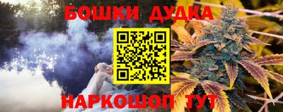 мдпв Пугачёв