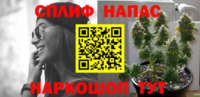 винт Пенза