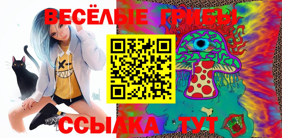 Псилоцибиновые грибы MAGIC MUSHROOMS  наркошоп  Партизанск  Псилоцибиновые грибы ЛСД  Вход с VPN 